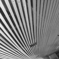 P1010759.jpg